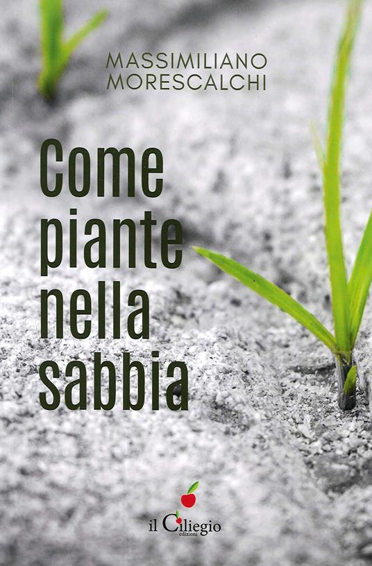 Come piante nella sabbia - Massimiliano Morescalchi - copertina