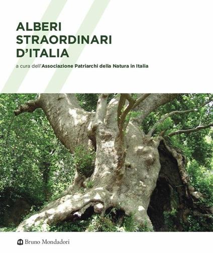 Alberi straordinari d'Italia. Ediz. a colori - copertina