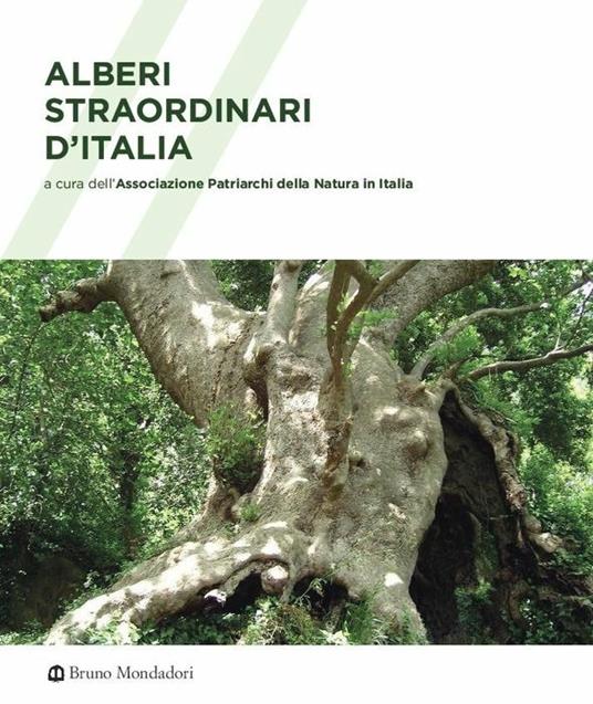 Alberi straordinari d'Italia. Ediz. a colori - copertina