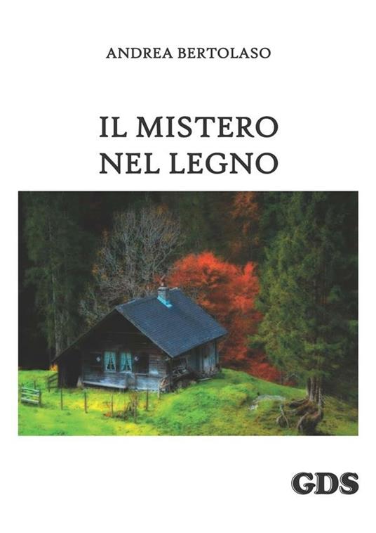 Il mistero nel legno - Andrea Bertolaso - ebook