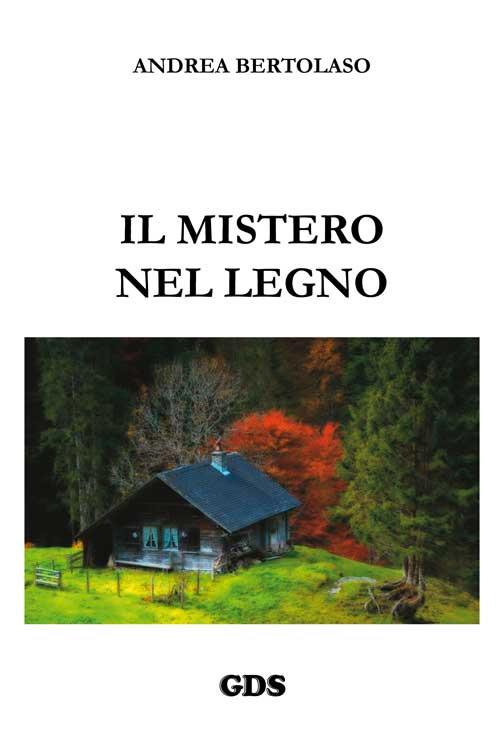 Il mistero nel legno - Andrea Bertolaso - copertina