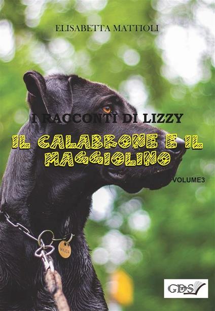Il calabrone e il maggiolino - Elisabetta Mattioli - ebook