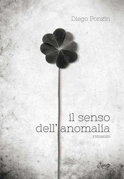 Il senso dell'anomalia - Diego Ponzin - copertina