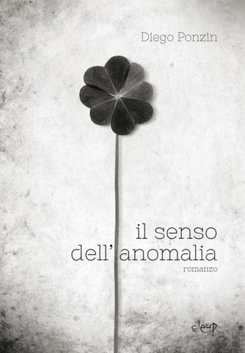Il senso dell'anomalia - Diego Ponzin - copertina