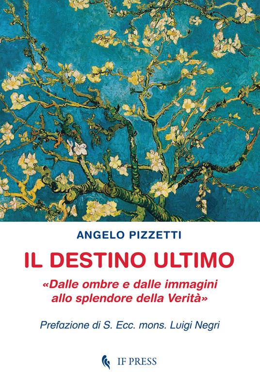 Il destino ultimo. Dalle ombre e dalle immagini allo splendore della verità - Angelo Pizzetti - copertina