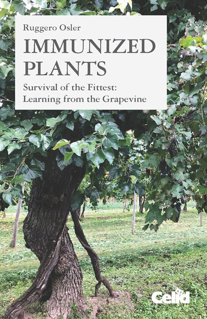 Immunized plants. Survival of the fittest: learning from the grapevine - Ruggero Osler - copertina