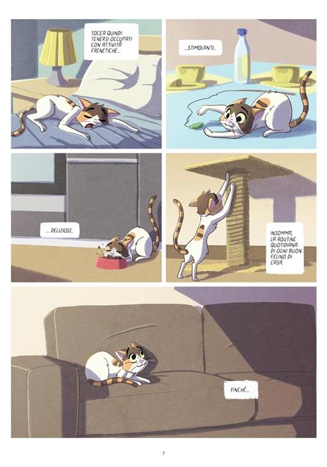 L'alba all'orizzonte. Brina - Giorgio Salati - 6