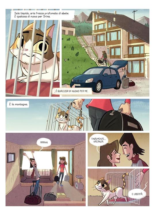 Brina e la banda del sole felino. Nuova ediz. - Giorgio Salati - 2