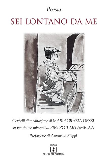Sei lontano da me. Corbelli di meditazione di Mariagrazia Dessi su ventinove misurali di Pietro Tartamella - Mariagrazia Dessi,Pietro Tartamella - copertina