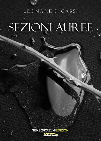 Sezioni auree - Leonardo Cassi - copertina