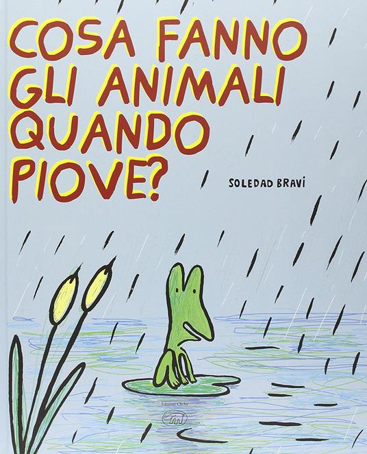 Cosa fanno gli animali quando piove? Ediz. illustrata - Soledad Bravi - copertina