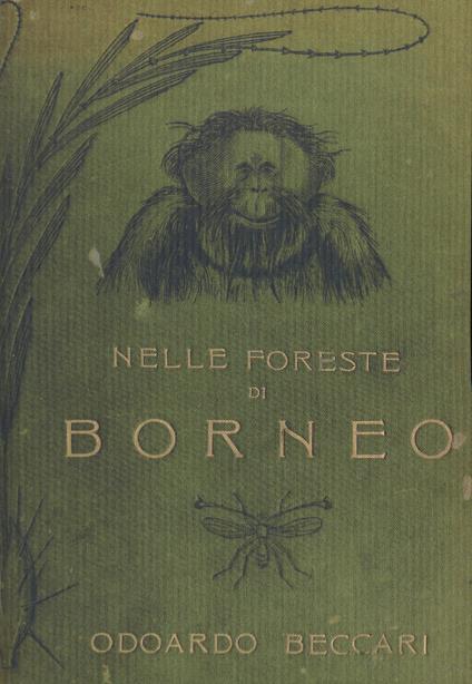 Nelle foreste di Borneo. Ediz. integrale - Odoardo Beccari - copertina