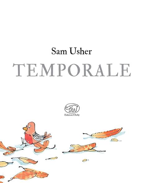 Temporale. Ediz. mini - Sam Usher - 2