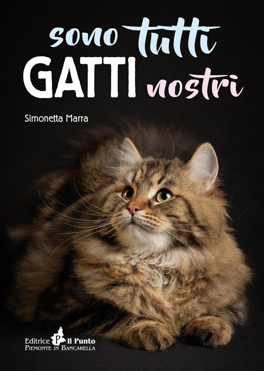 Sono tutti gatti nostri - Simonetta Marra - copertina