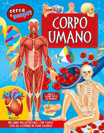 Corpo umano - copertina