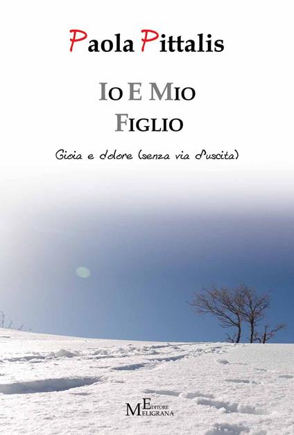 Io e mio figlio. Gioia e dolore (senza via d'uscita) - Paola Pittalis - copertina