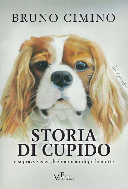 Storia di Cupido e sopravvivenza degli animali dopo la morte - Bruno Cimino - copertina