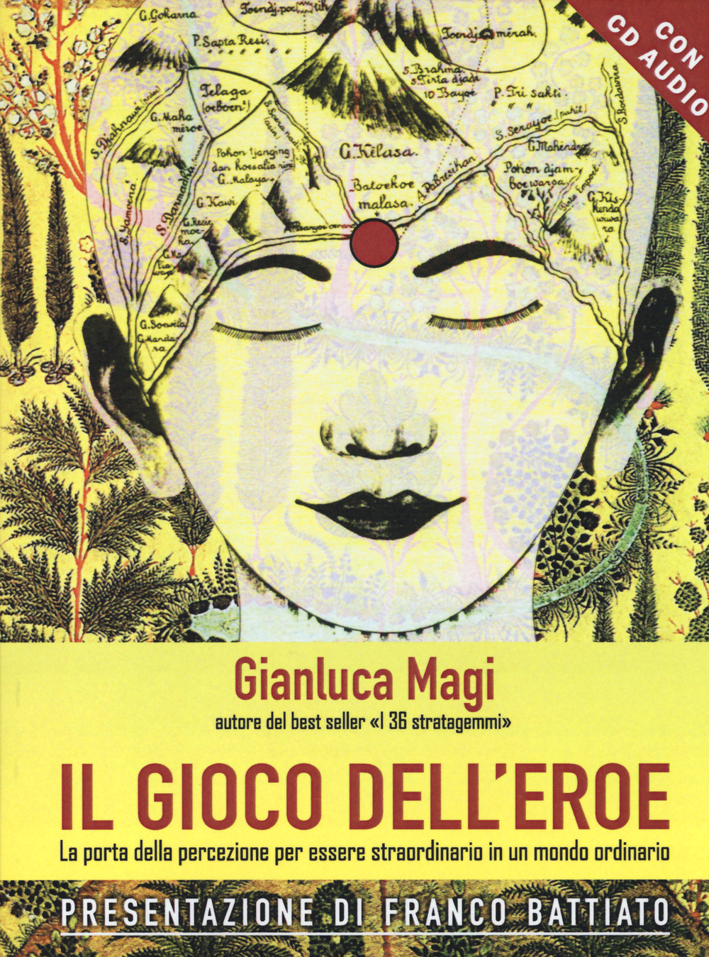 Libraccio