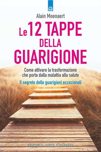 Le 12 tappe della guarigione. Come attivare la trasformazione che porta dalla malattia alla salute. Il segreto delle guarigioni eccezionali - Alain Moenaert,Milvia Faccia - ebook