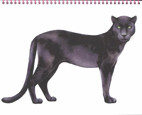 Snow Tiger. Animal style. Ediz. illustrata - 5