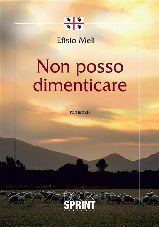 Non posso dimenticare - Efisio Meli - ebook