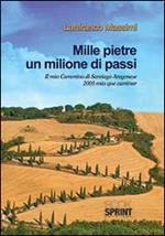 Mille pietre un milione di passi
