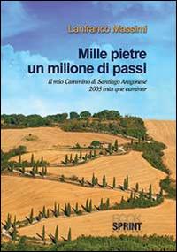 Mille pietre un milione di passi - Lanfranco Massimi - copertina