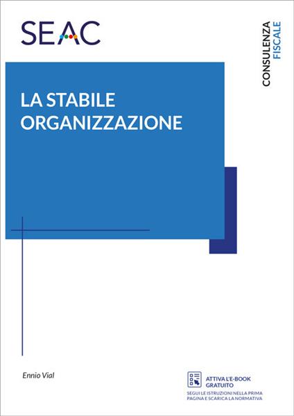 La stabile organizzazione - Ennio Vial - copertina