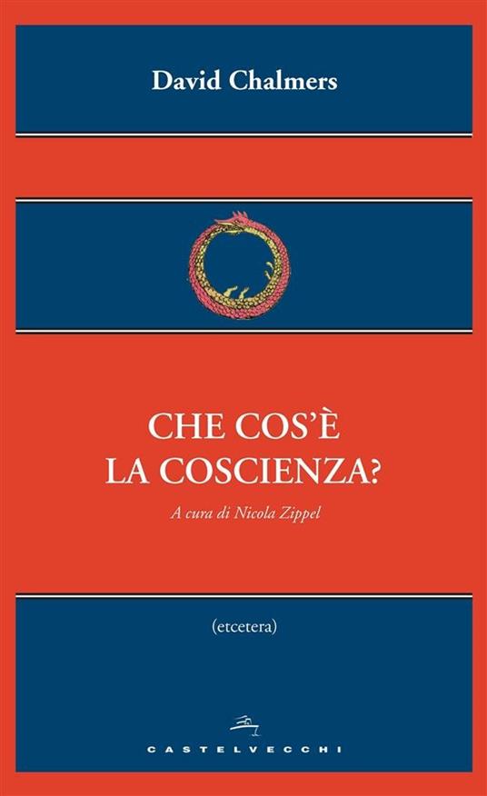 Che cos'è la coscienza? - David Chalmers,Nicola Zippel - ebook