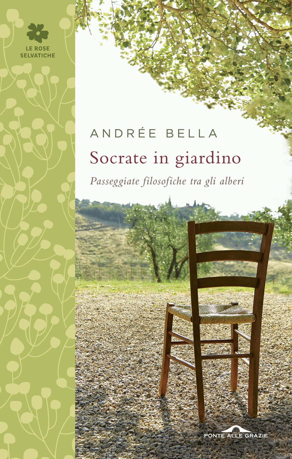 Libraccio