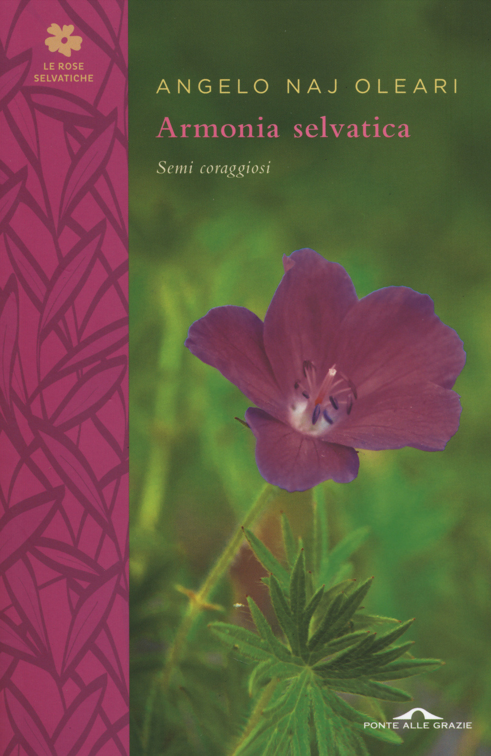 Libraccio