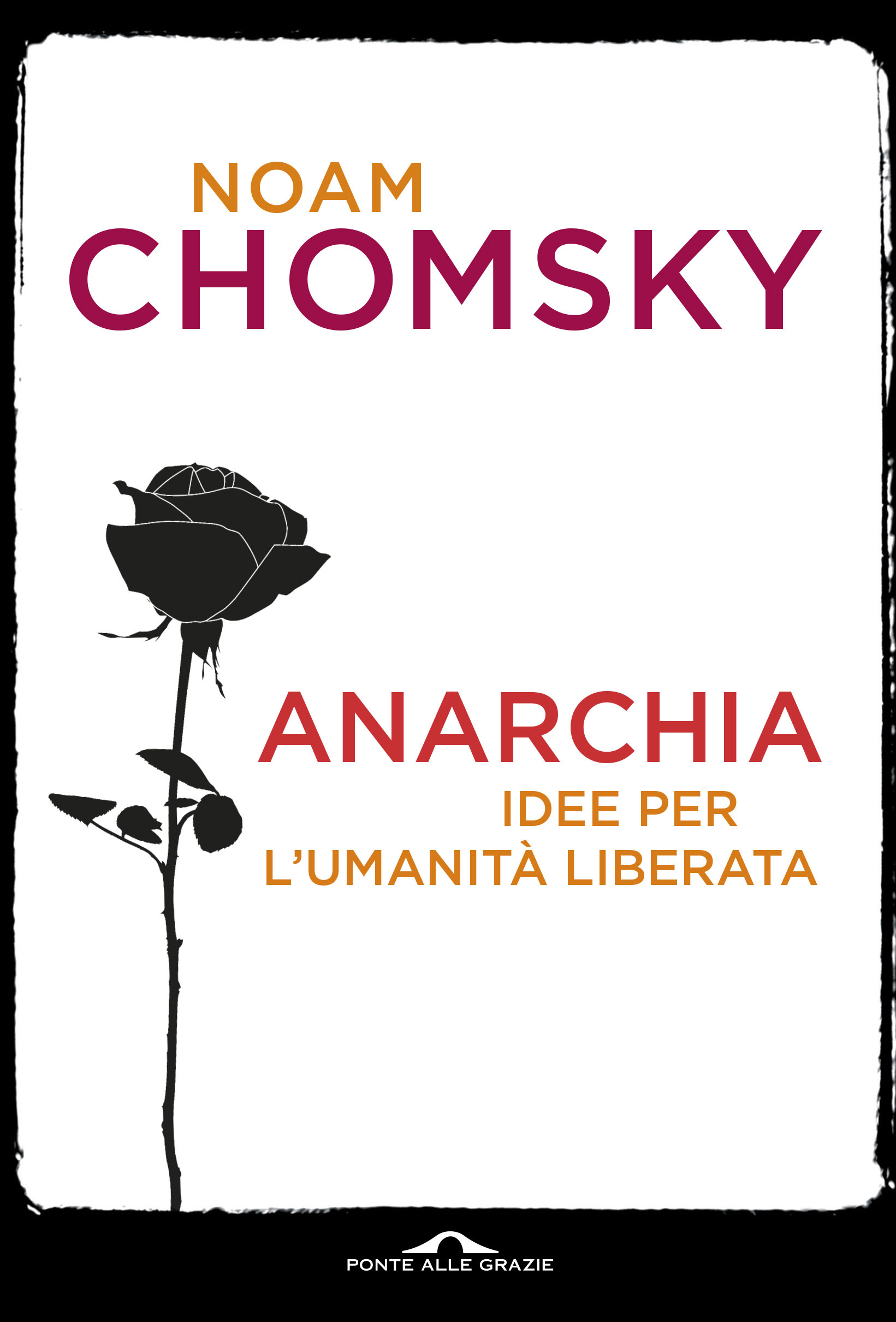 Libraccio