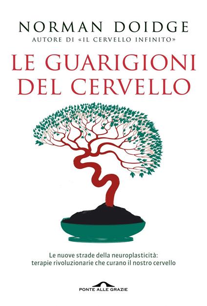 Le guarigioni del cervello. Le nuove strade della neuroplasticità: terapie rivoluzionarie che curano il nostro cervello. Nuova ediz. - Norman Doidge,Sabrina Placidi,Francesco Zago - ebook