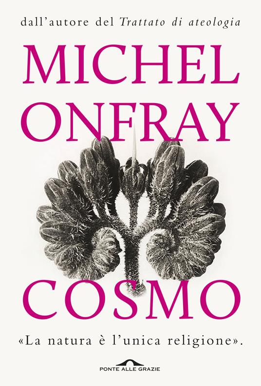 Cosmo. Un'ontologia materialista - Michel Onfray,Michele Zaffarano - ebook