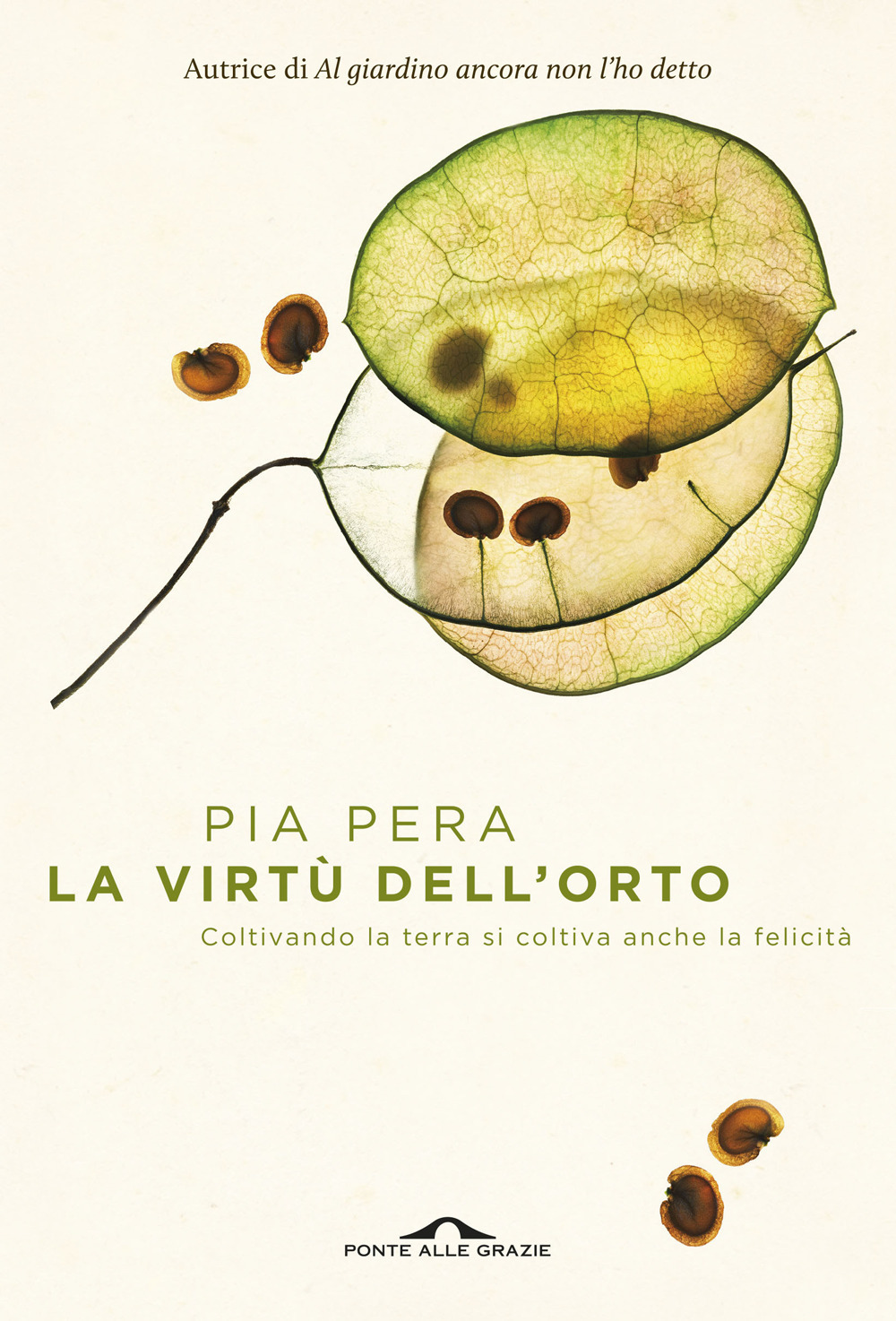 Carù Libreria Dischi