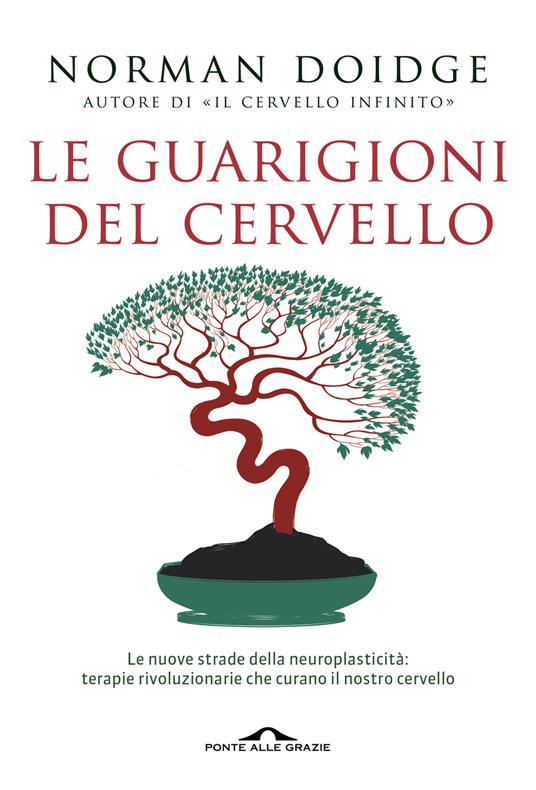 Le guarigioni del cervello. Le nuove strade della neuroplasticità: terapie rivoluzionarie che curano il nostro cervello - Norman Doidge - copertina