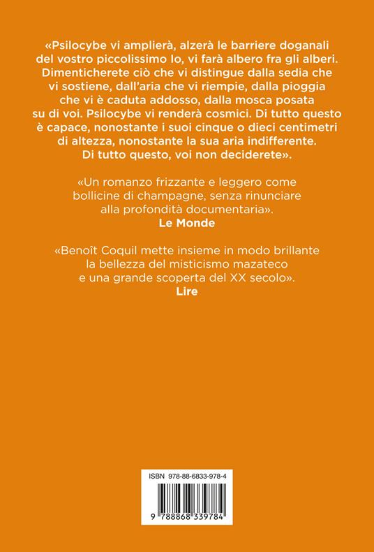 Piccole cose - Benoît Coquil - 4