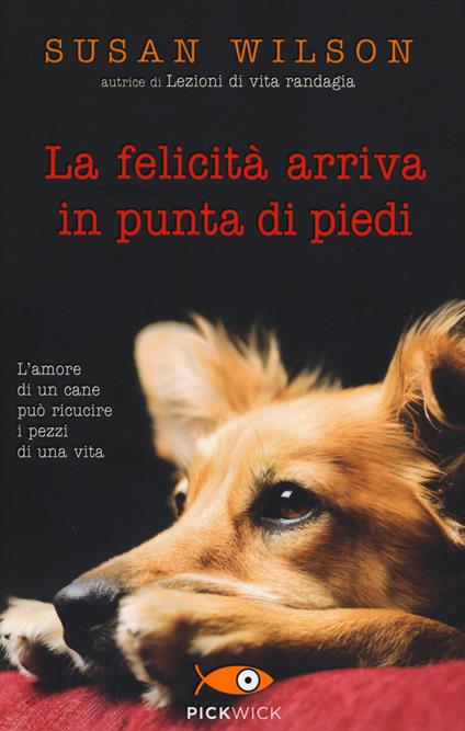 La felicità arriva in punta di piedi - Susan Wilson - copertina