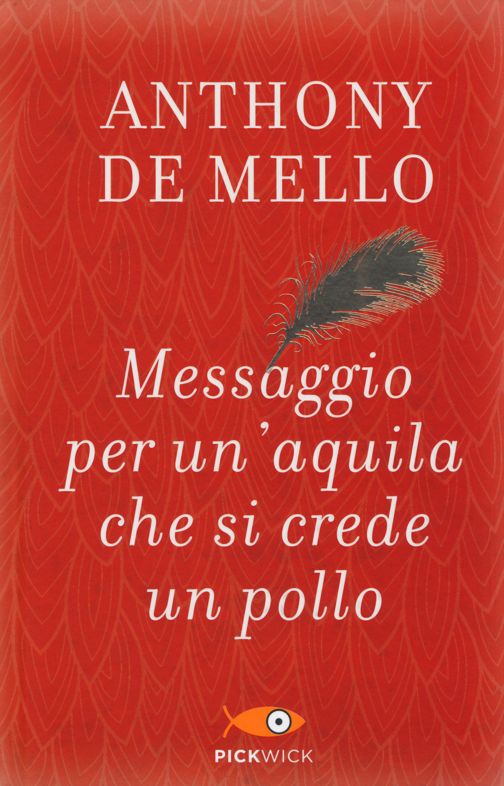 Libraccio