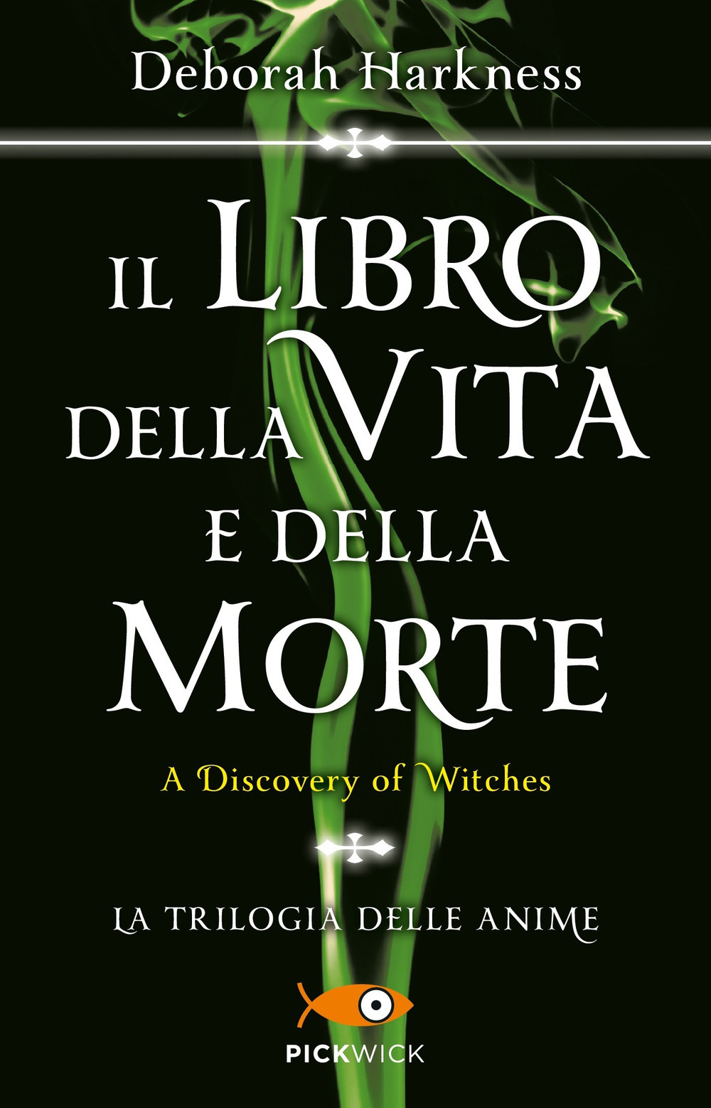 Libraccio
