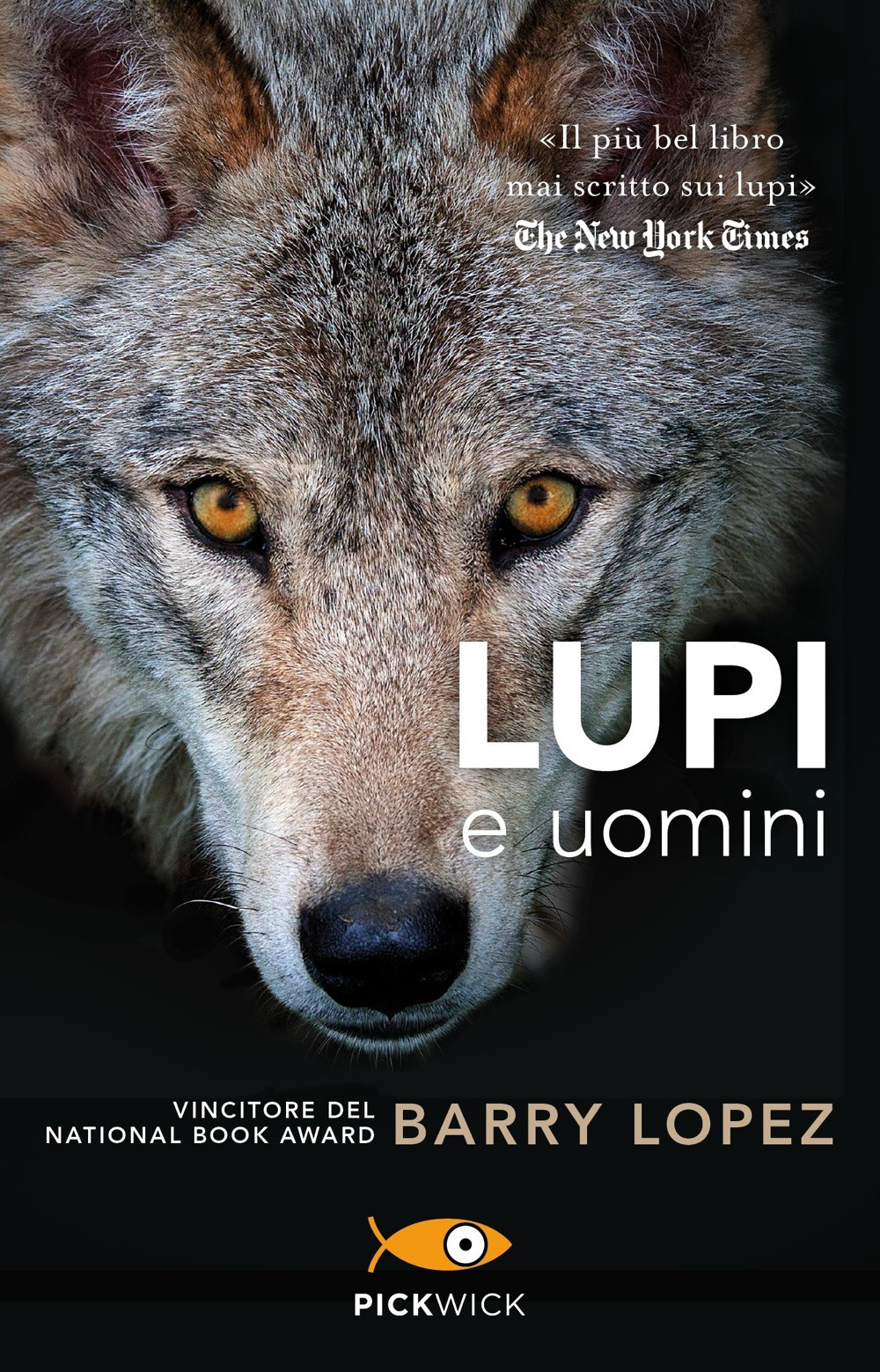 Libraccio