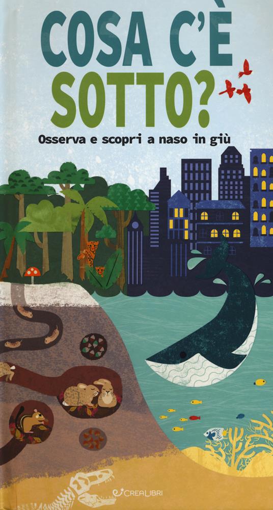 Cosa c'è sotto? Osserva e scopri a naso in giù. Ediz. a colori - copertina