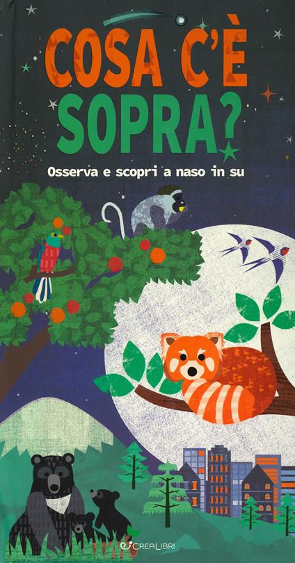 Cosa c'è sopra? Osserva e scopri a naso in su. Libro pop-up. Ediz. a colori - copertina
