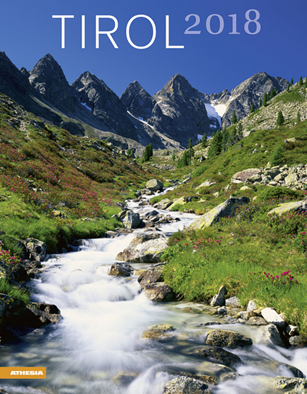 Libreria Internazionale Romagnosi snc