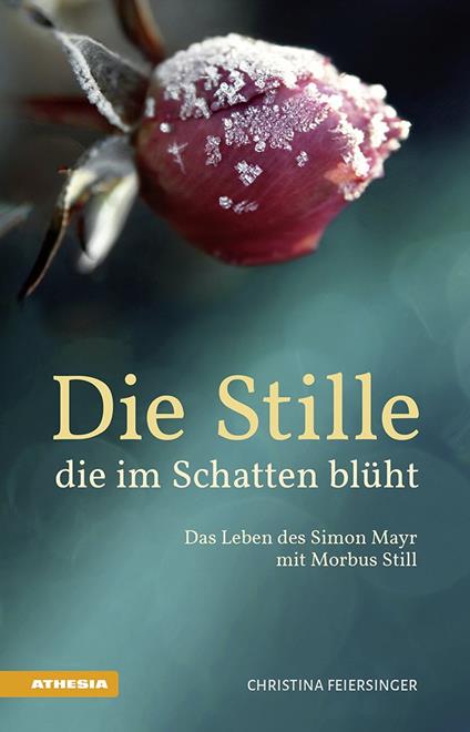 Die Stille, die im Schatten blüht Das Leben des Simon Mayr mit Morbus Still - Christina Feiersinger - copertina