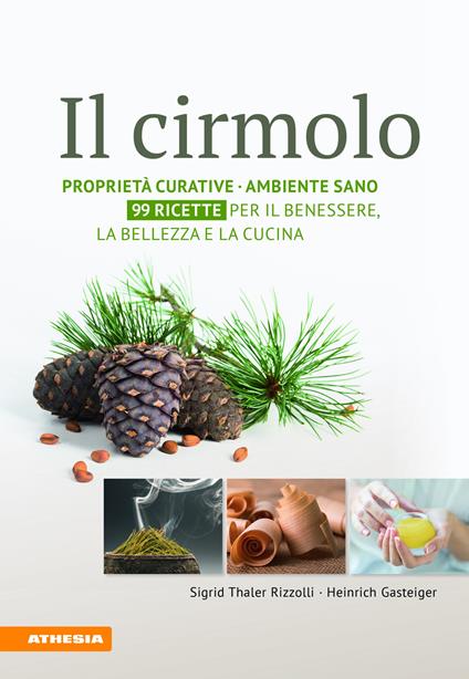 Il cirmolo. Proprietà curative, ambiente sano, 99 ricette per il benessere, la bellezza e la cucina - Sigrid Thaler Rizzolli,Heinrich Gasteiger - copertina