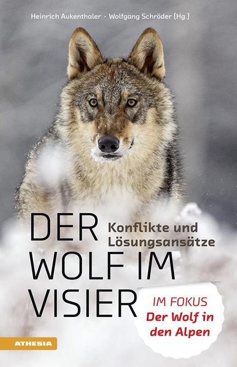 Der Wolf im Visier. Konflikte und Lösungsansätze. Im Fokus: Der Wolf in den Alpen - copertina