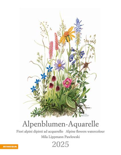 Alpenblumen-Aquarelle. Kalender 2025 - copertina