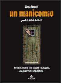 Un manicomio. Poesie di Michele Bertilotti con un'intervista al dott. Giovanni Del Poggetto... - Elena Ernesti - copertina