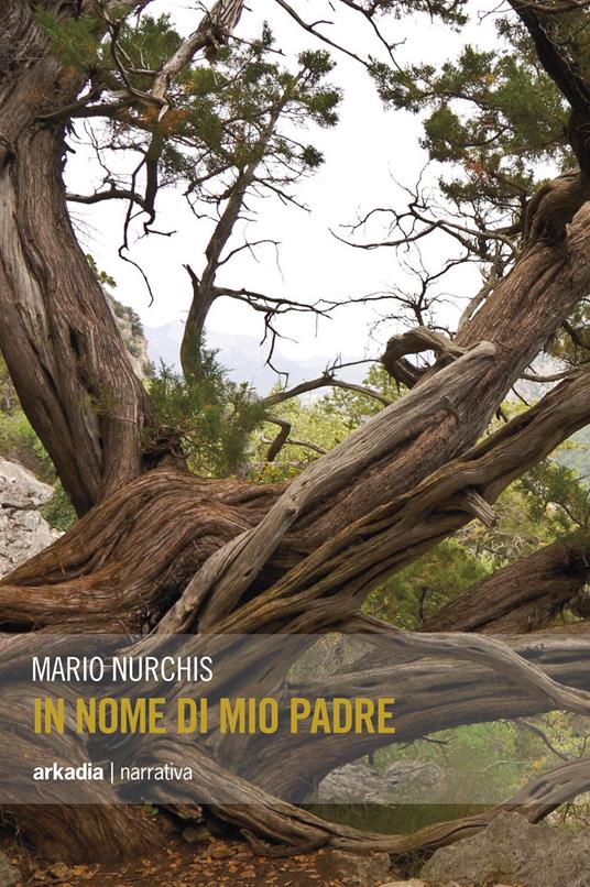 In nome di mio padre - Mario Nurchis - copertina